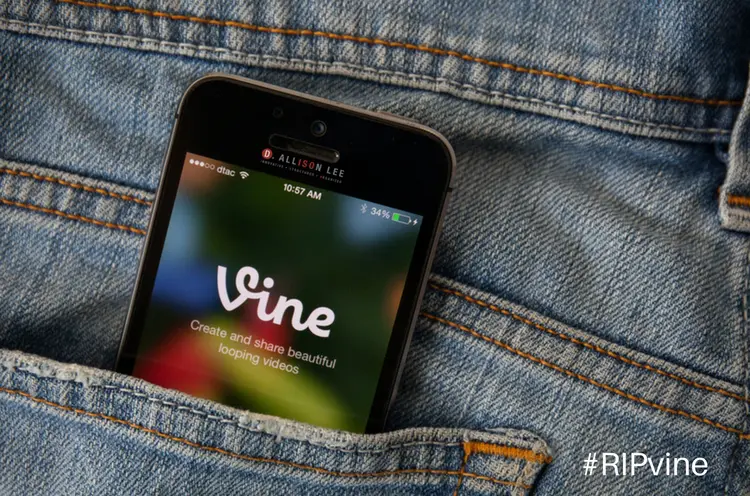 Vine is dead
