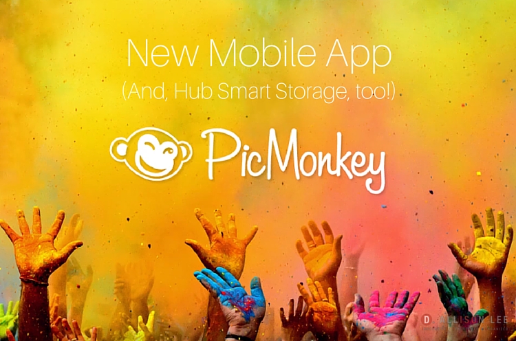 PicMonkey Update: New Mobile App and Hub Smart Storage